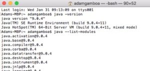 Screenshot of Java 9 text