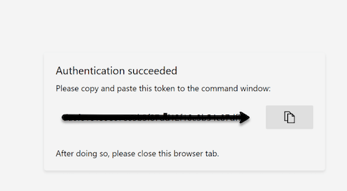 Copy and paste this token to the command window 
